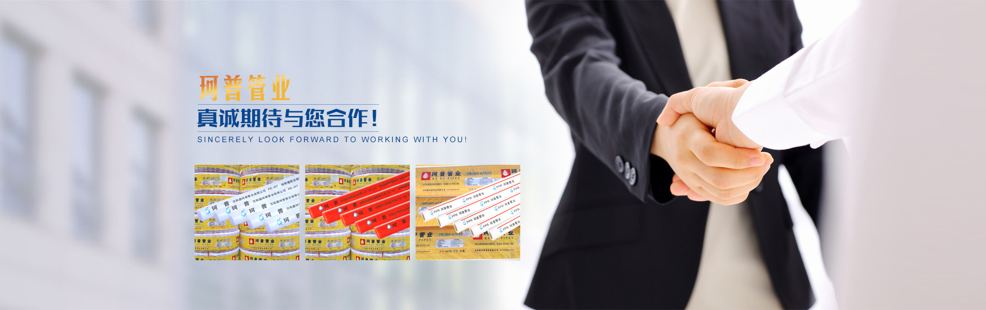 阜新金鴻泰化工有限公司